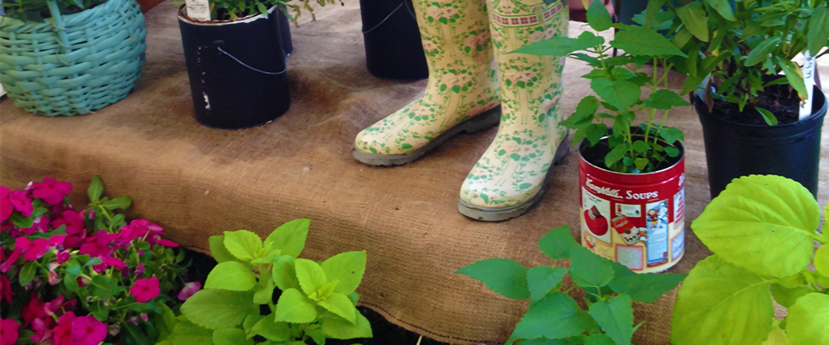 靴子展示的一个花园