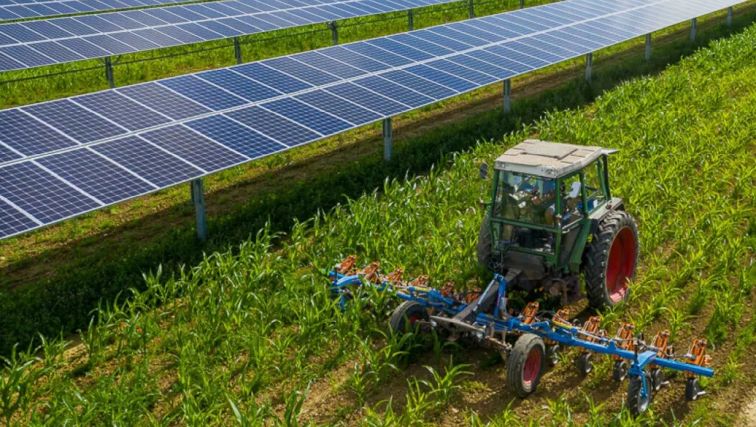 罗格斯Agrivoltaics项目合作伙伴的照片与NJBPU两用太阳能试点项目